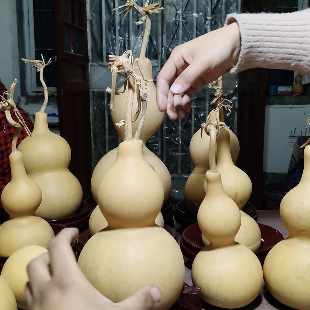 三醋酯纤维12345678910