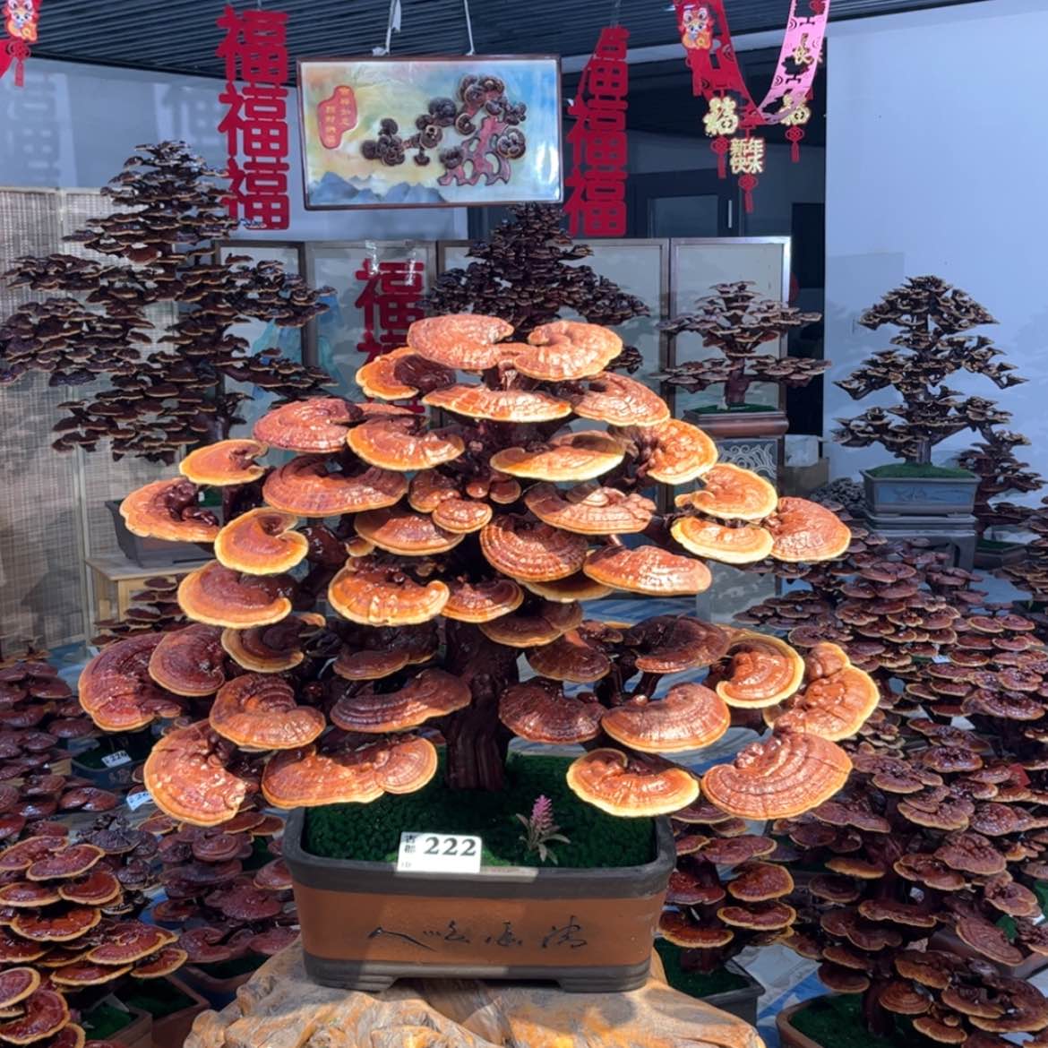 【闪购商品】88888