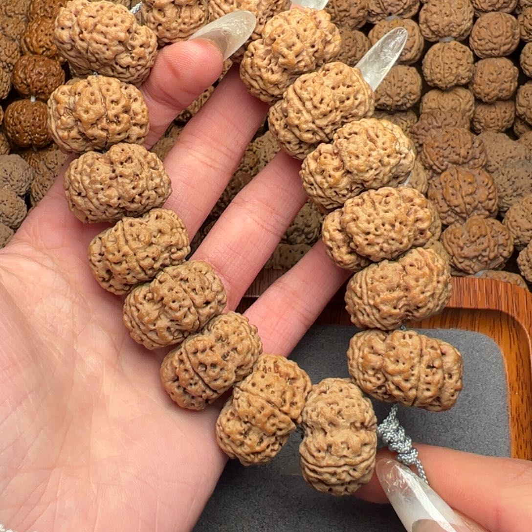 菩提7号尼泊尔大金刚26夹板梅花