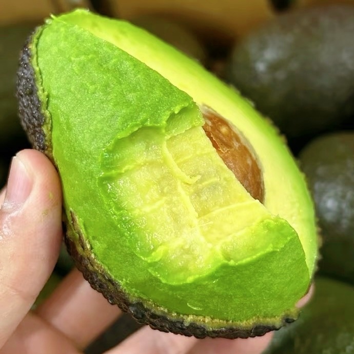 【漂洋果海】正宗精品哈斯牛油果新鲜采摘孕妇水果宝宝辅食70-210克