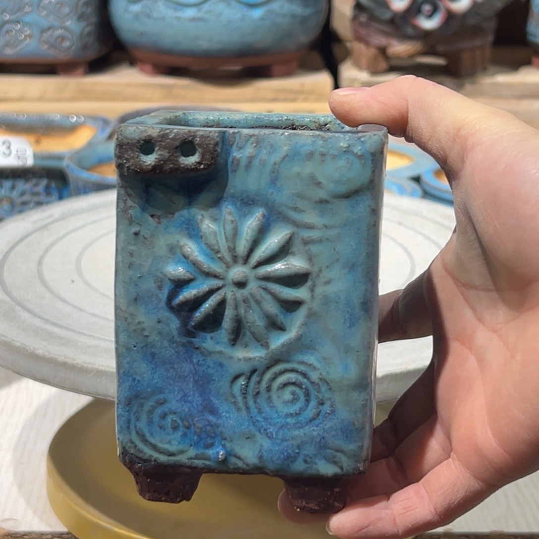 丁***毛尚雅陶坊多肉花盆，待选盆