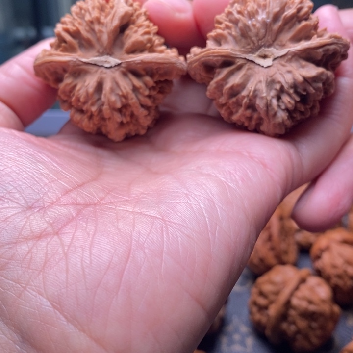 八***～文玩核桃把件满天星