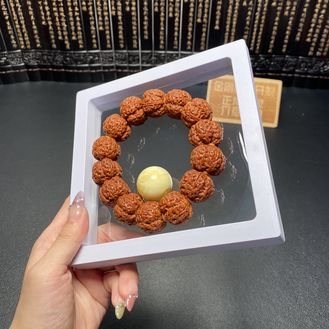 新品上架，满肉梅花（3号）