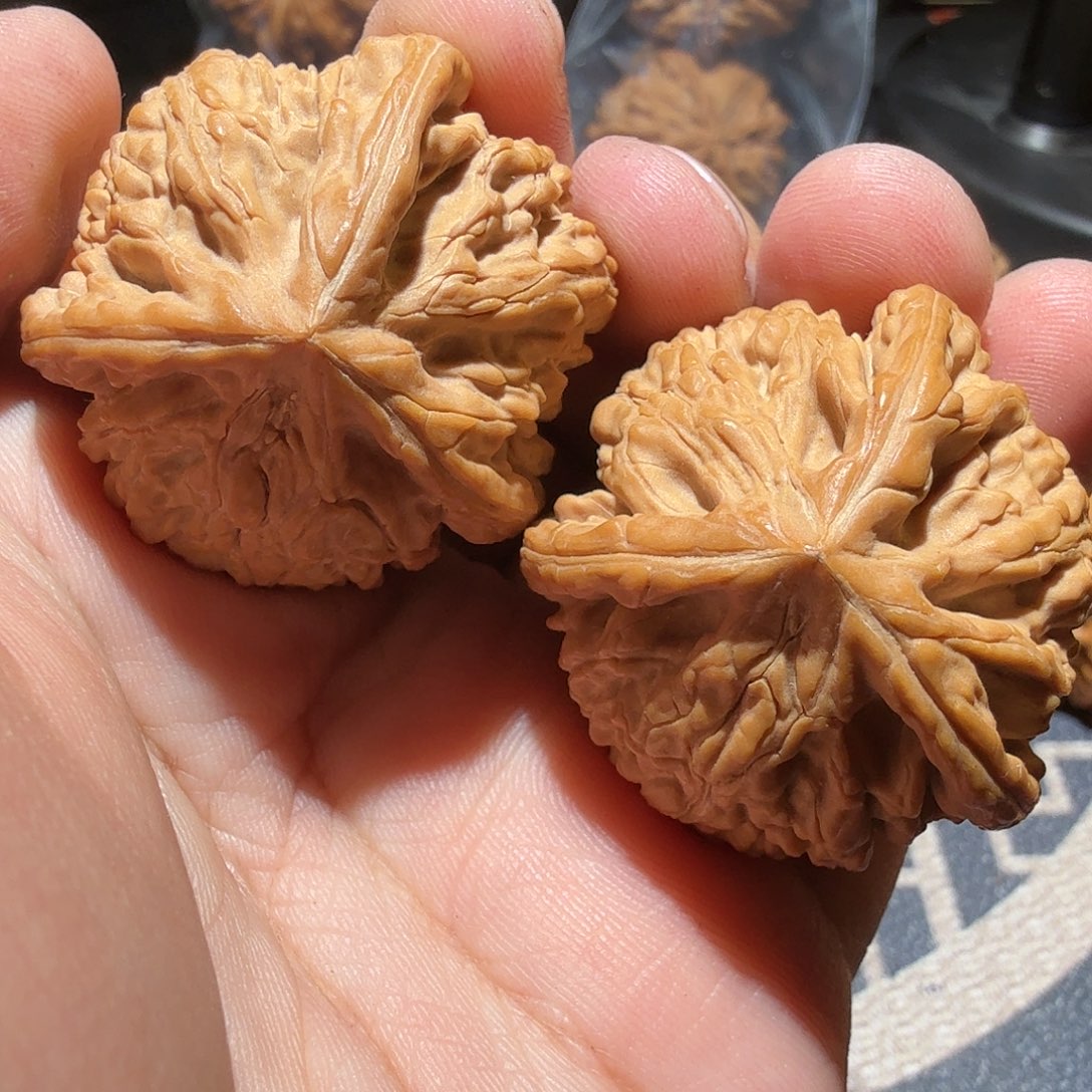 文玩核桃把件御龙