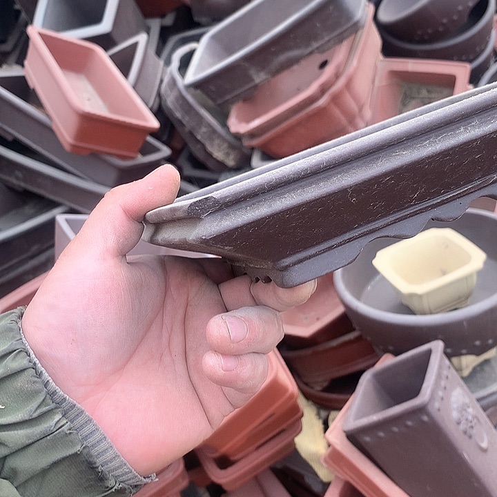 紫砂哈哈真的是太给力