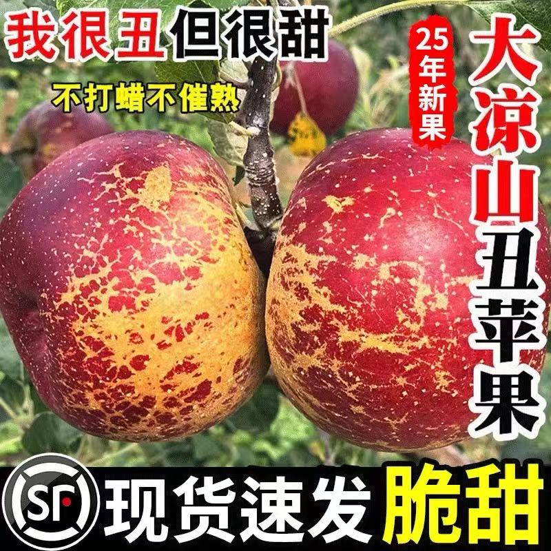 【顺丰京东次日达】正宗大凉山盐源丑苹果现采现摘整箱发货新鲜水果顺丰京东包邮四川省四川省