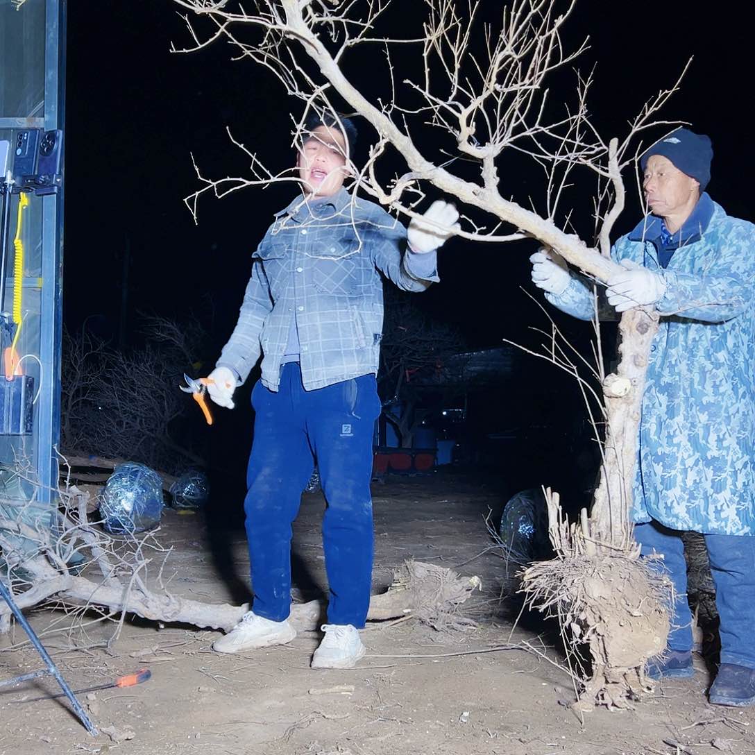 无花朵健健康康快快乐乐