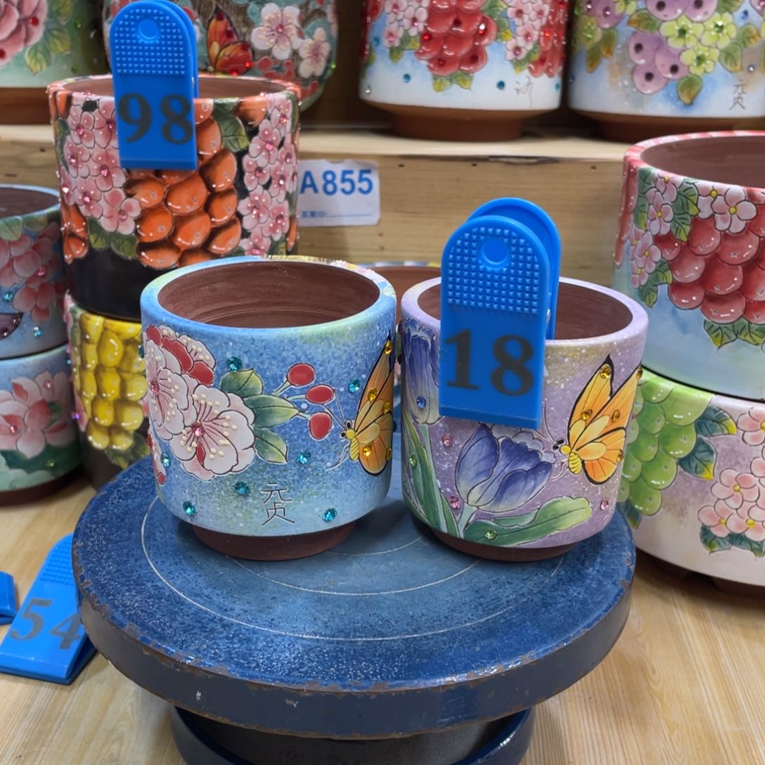 多肉花盆蝴蝶花盆