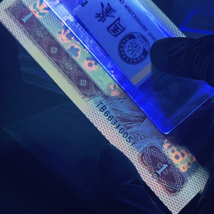 66310051标801五彩金龙