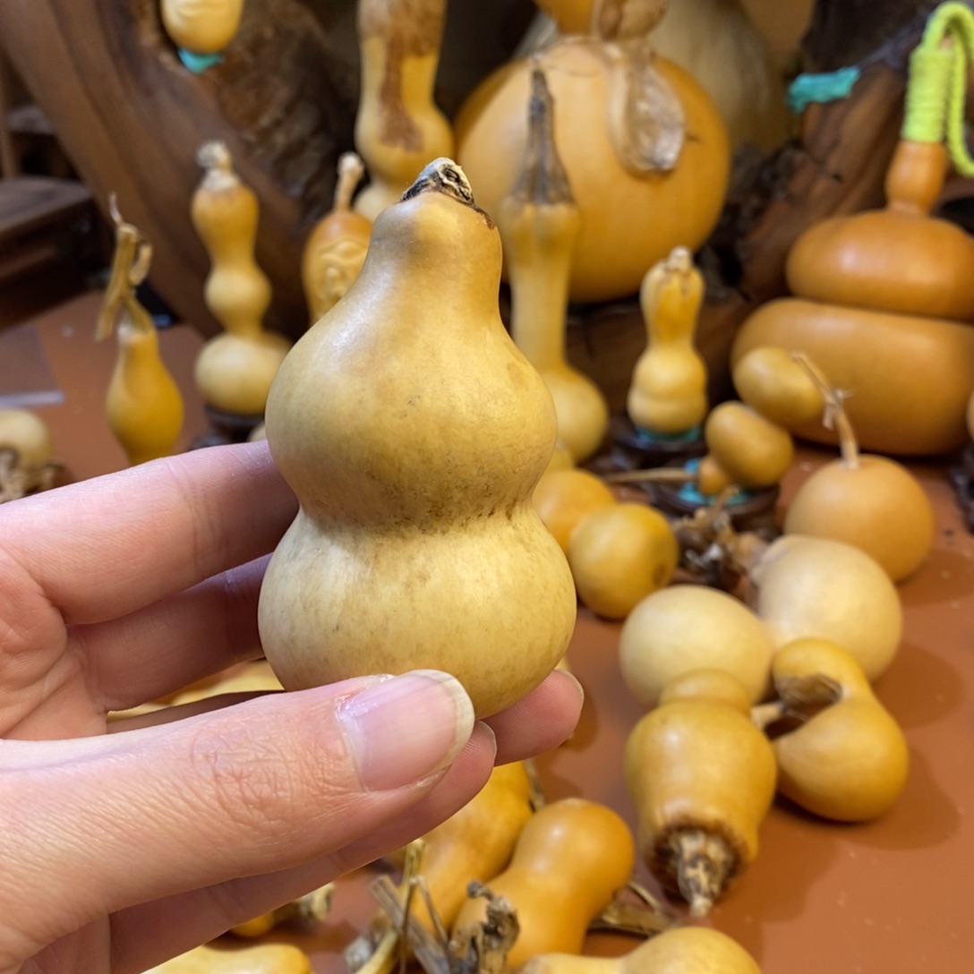 枫***叶教练教练教练经理