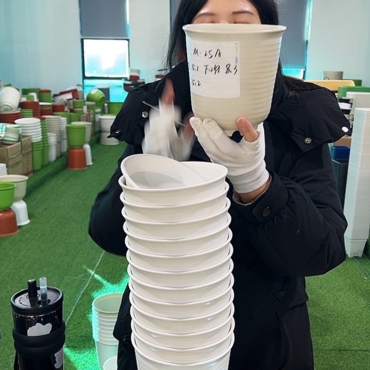 正品高陶口15高15白色8只无托