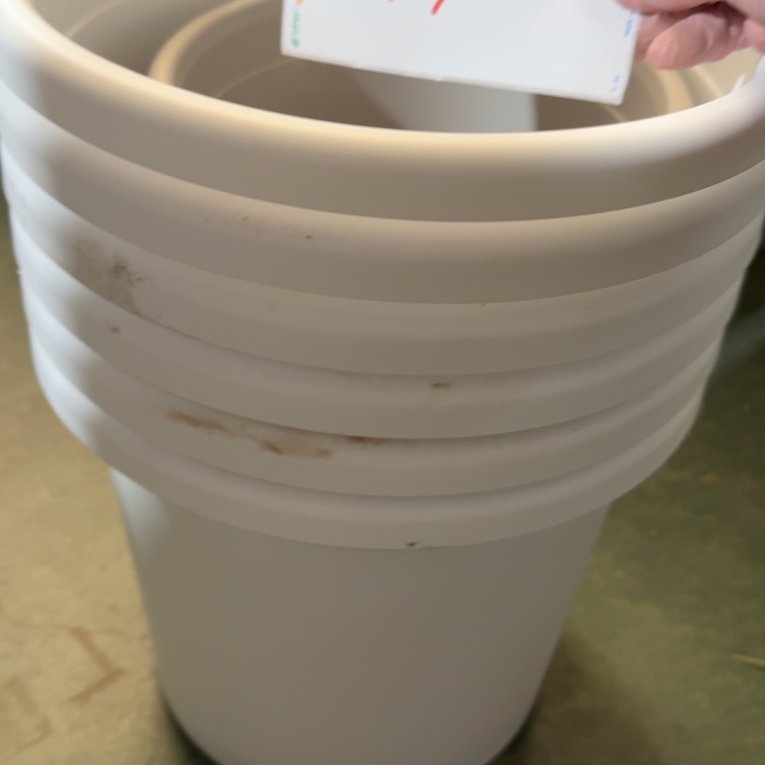 编号130微瑕无拖