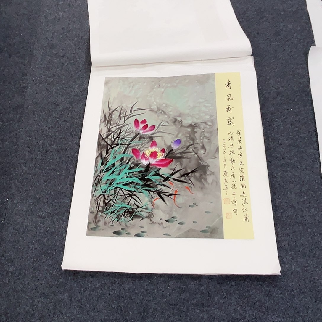 国画小姐姐放漏中…