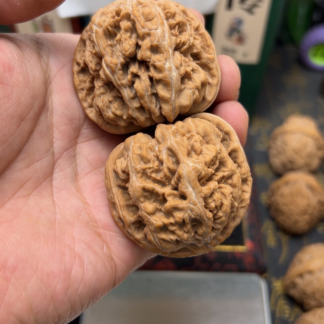 文玩核桃把件小*儿47大粗筋单只克重一样60总