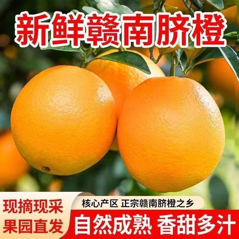 【正宗】赣南脐橙大果新鲜时令应季甜橙现摘水果净重