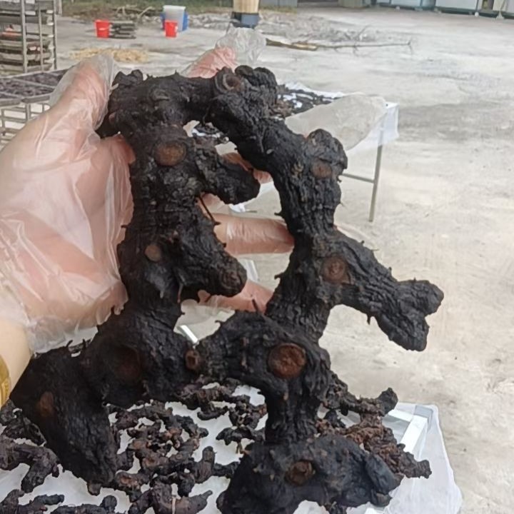 高年份25年精选九蒸九晒仙人余粮，可配熟地煲汤泡酒当零食吃