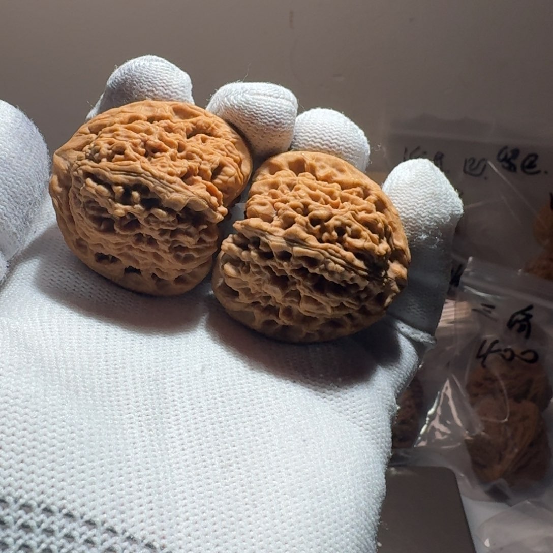 文玩核桃把件17号链接