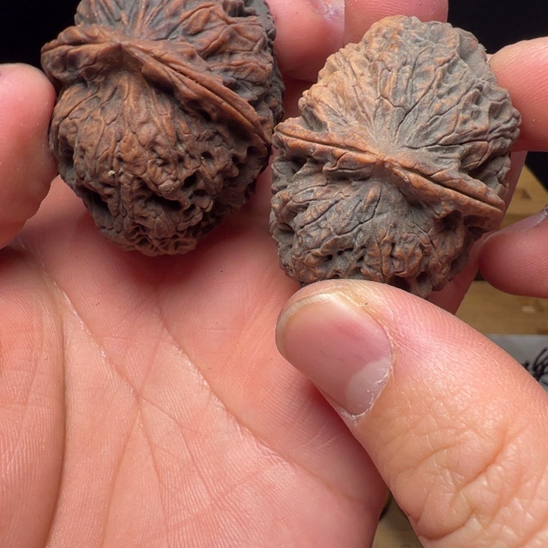 文玩核桃吊坠卧龙金蟾44mm