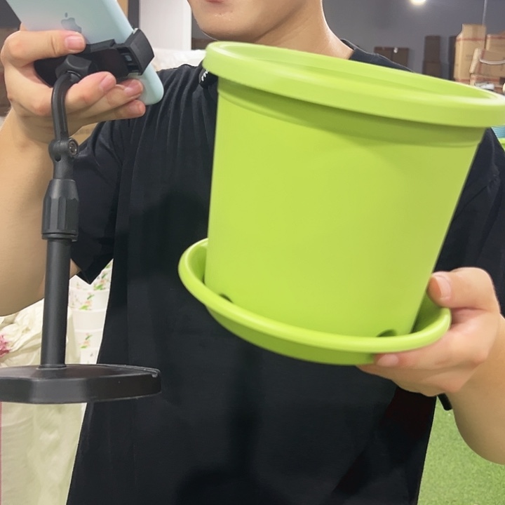 特价2号口17高14.7果绿色10只带托