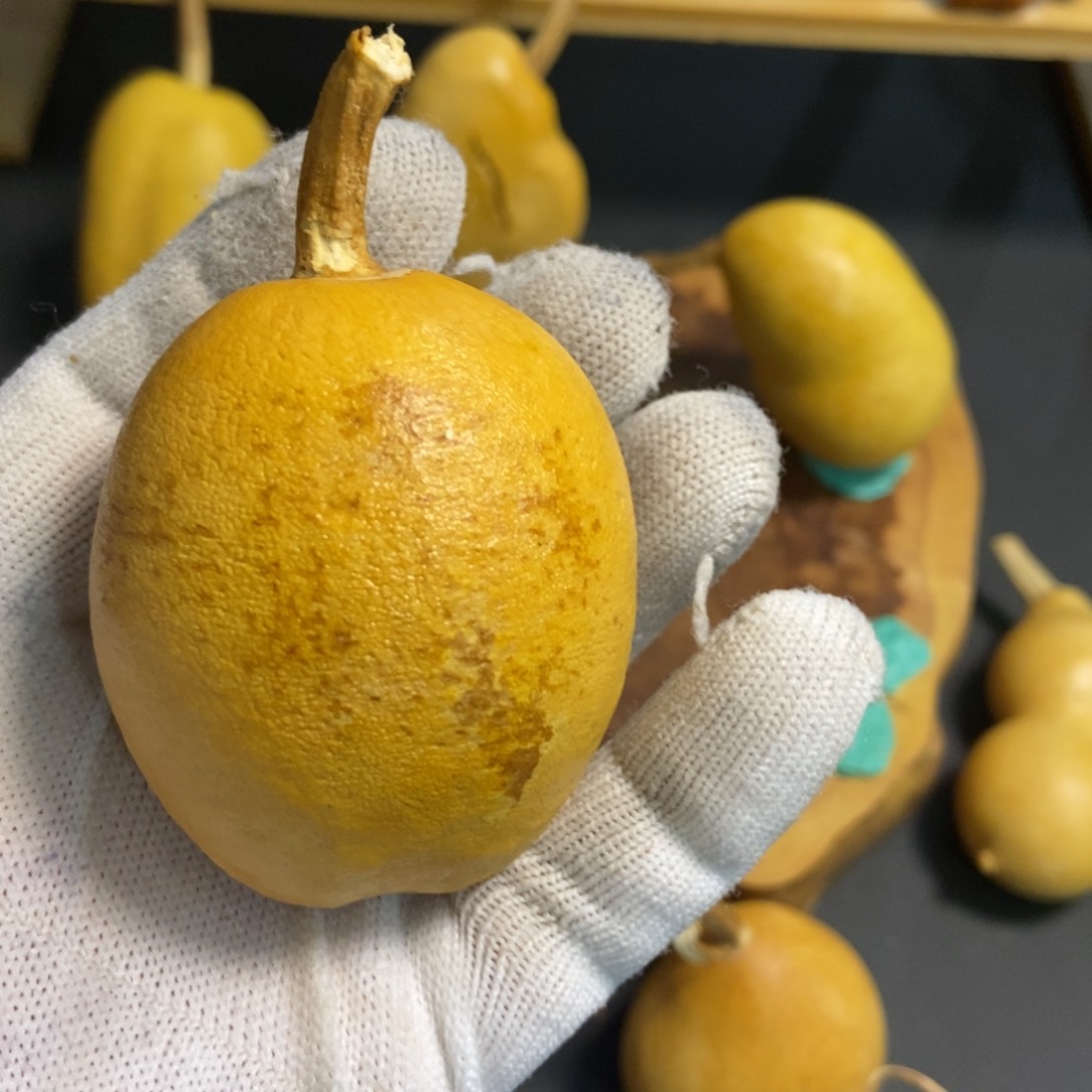 佛**人葫芦葫芦真的