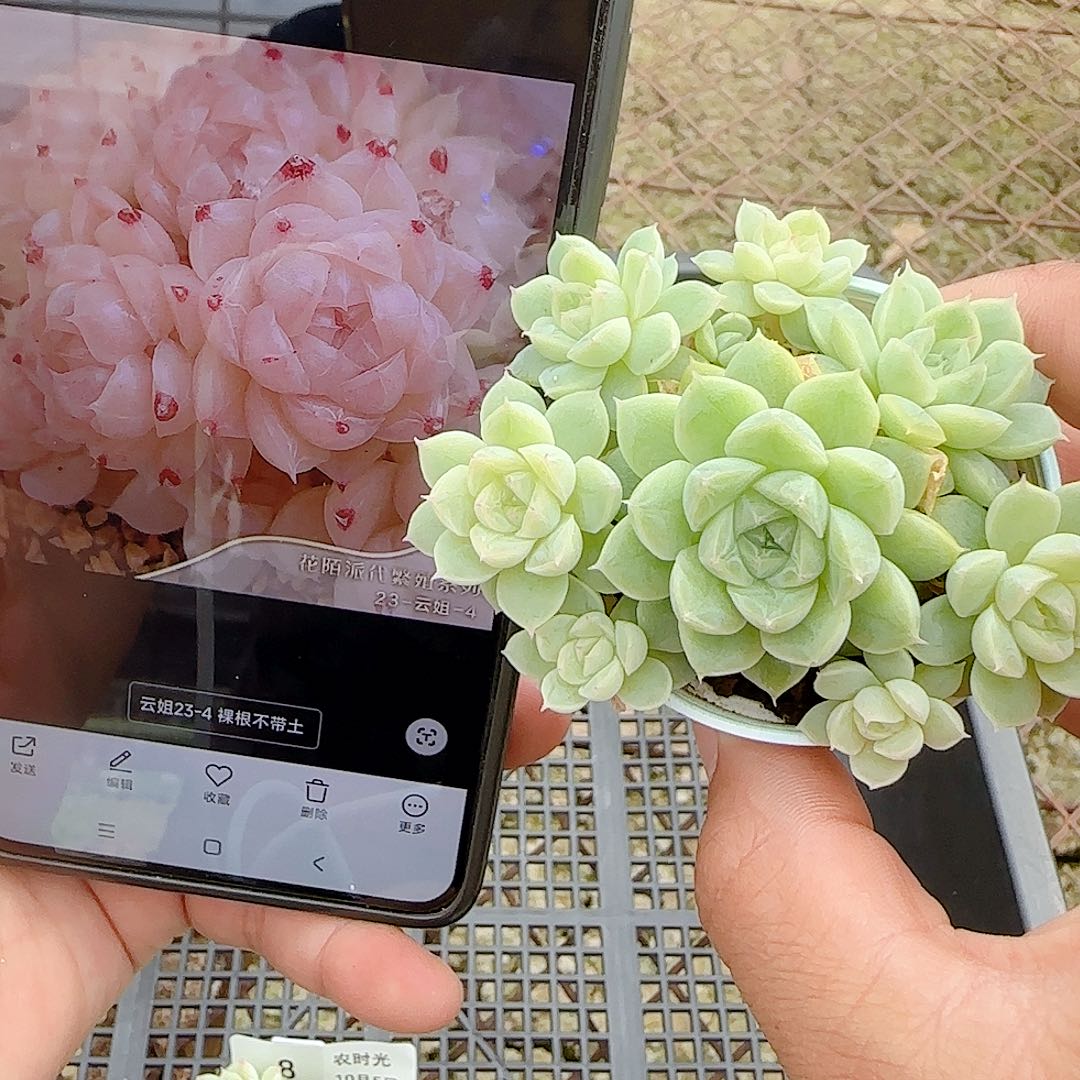 .***e【闪购商品】1005-51（云姐23-4）