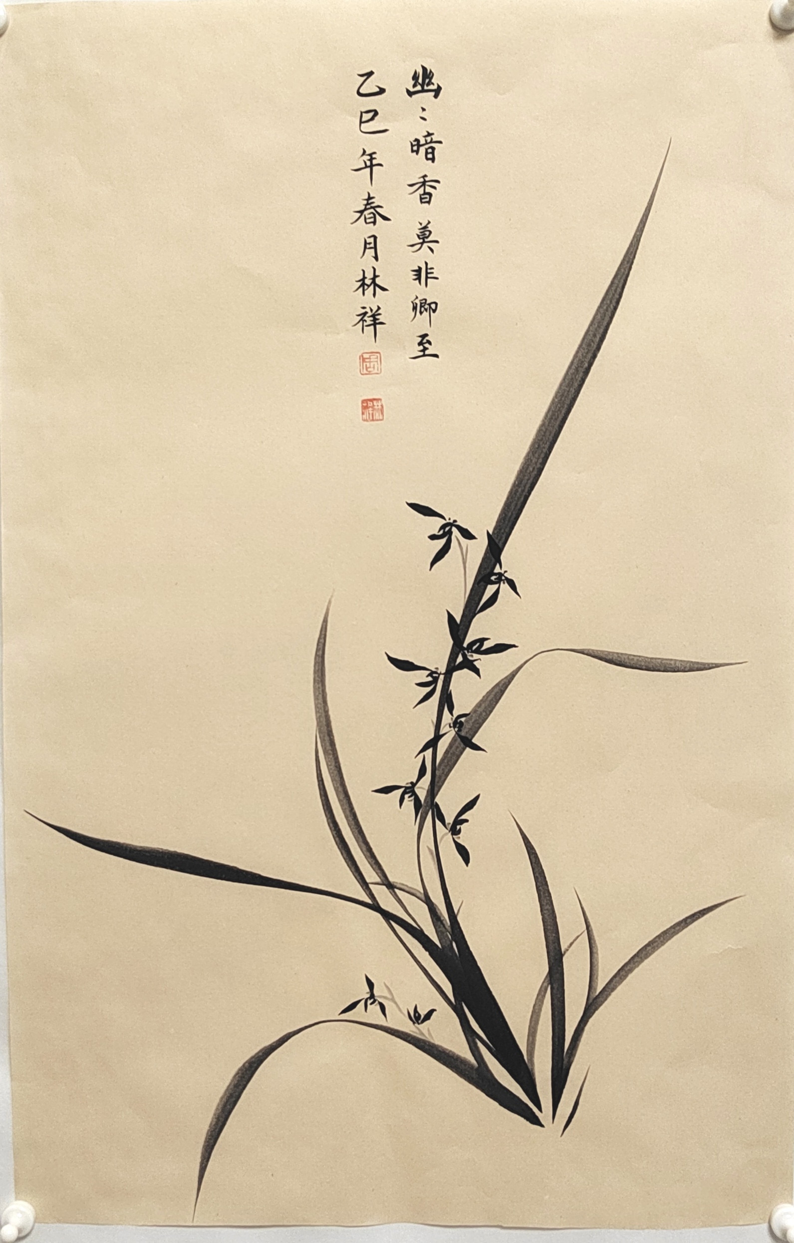 兰花图 尺寸45×68厘米