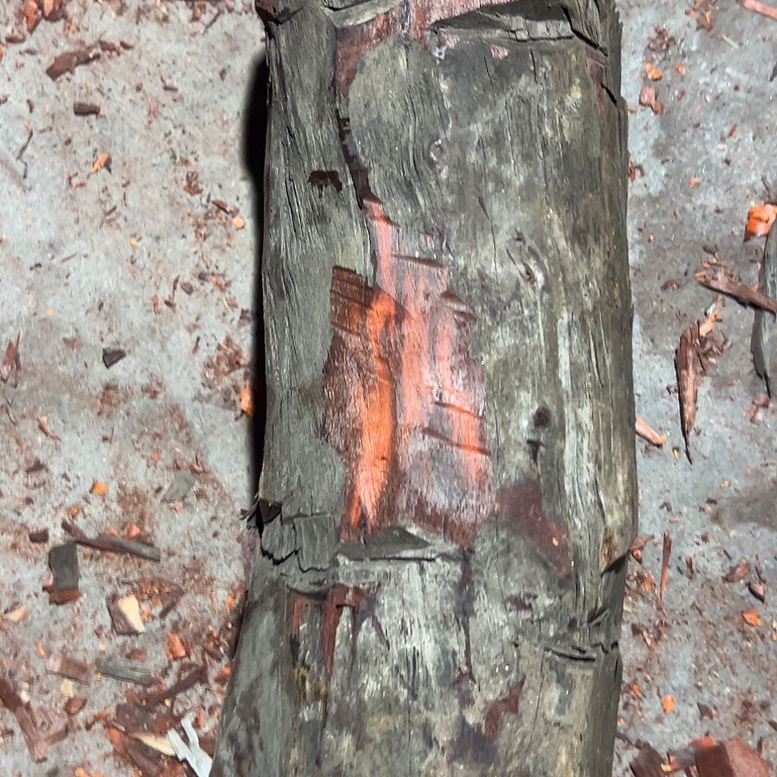 豹***子血檀赞比亚血檀非洲紫檀