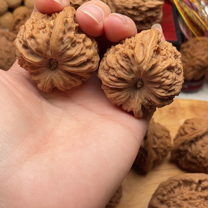 木质有黄 41大凹底