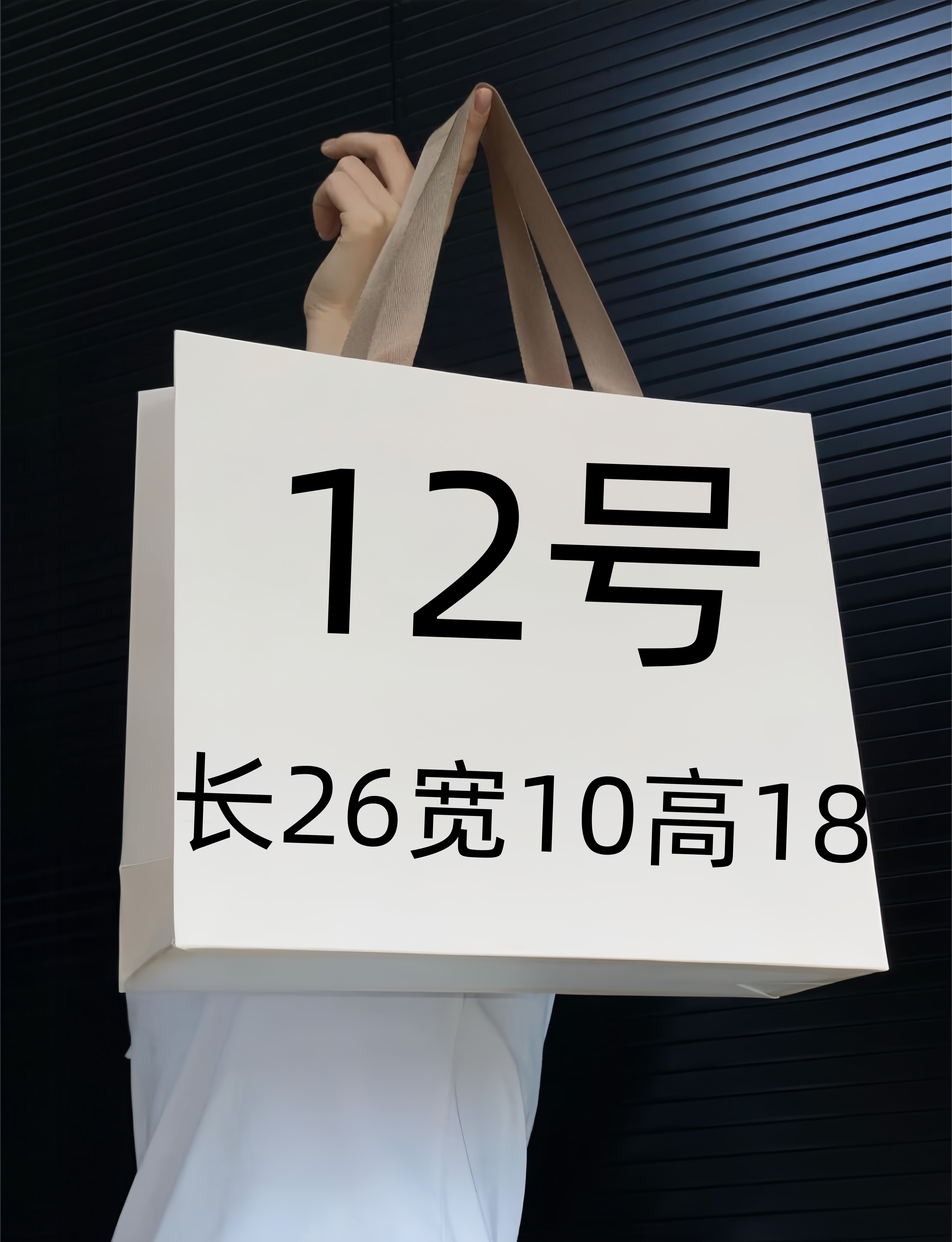【12号】爆款女包气质单肩斜挎手提百搭潮流经典女士山茶花包8063