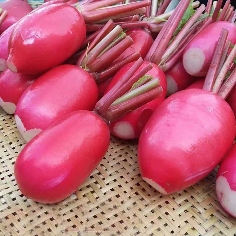  农家红萝卜 集市现收