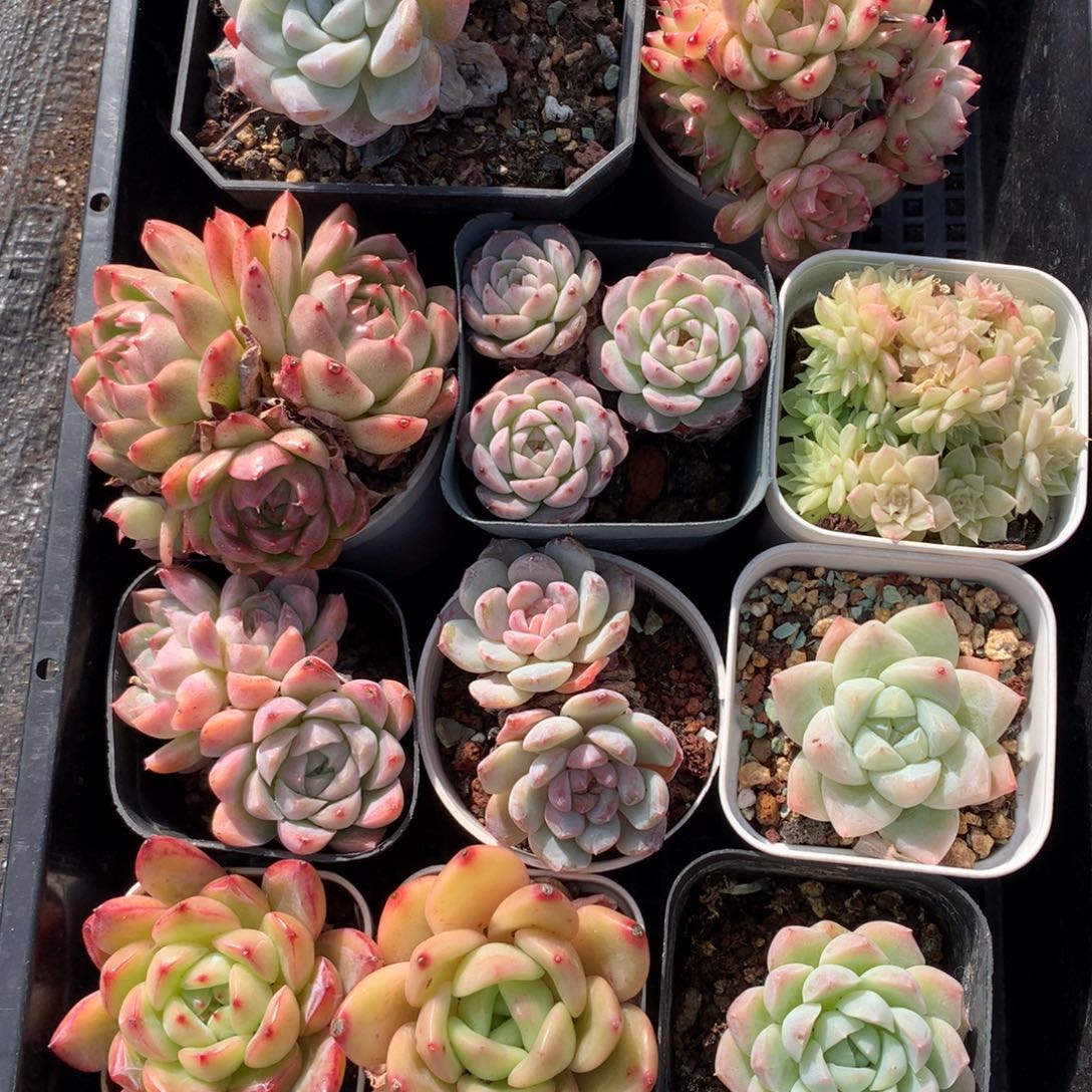 1207-39 套餐一组