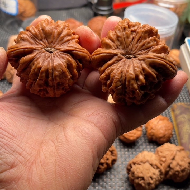 ****澜把件桃核全品龙鼎蝉56