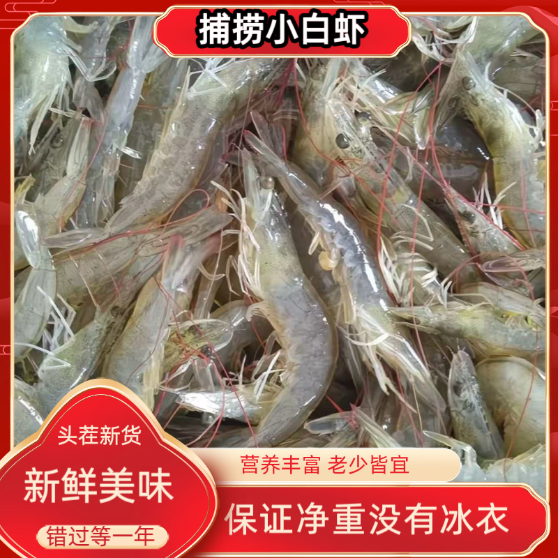 一口鲜 净重共6斤 小白虾新鲜海虾  嫌小勿拍