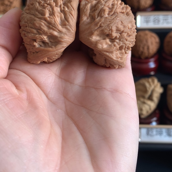文玩核桃把件阴阳八卦蛇40白茬