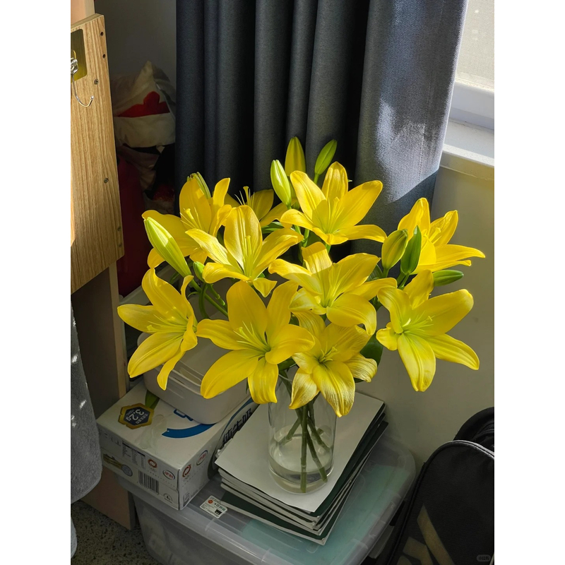 【黄钻】亚百合 一单包邮 云南鲜花昆明基地现采现发