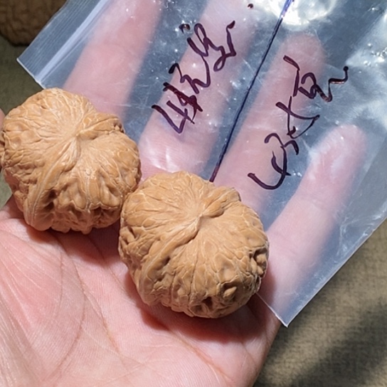 【闪购商品】吊坠文玩核桃稻****?