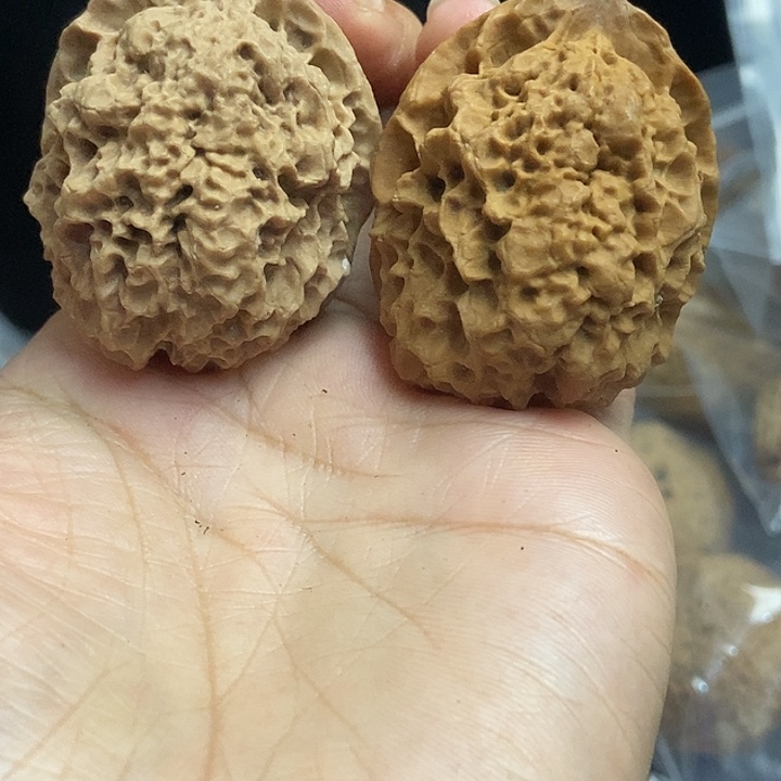 文玩核桃把件云南铁核桃基地84