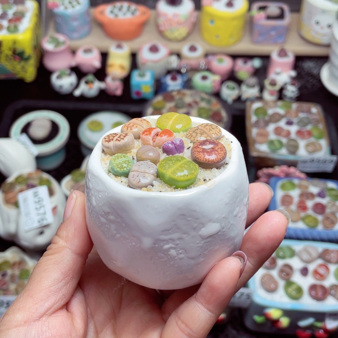 w9579 带盆土发货-零下地区拍保温箱