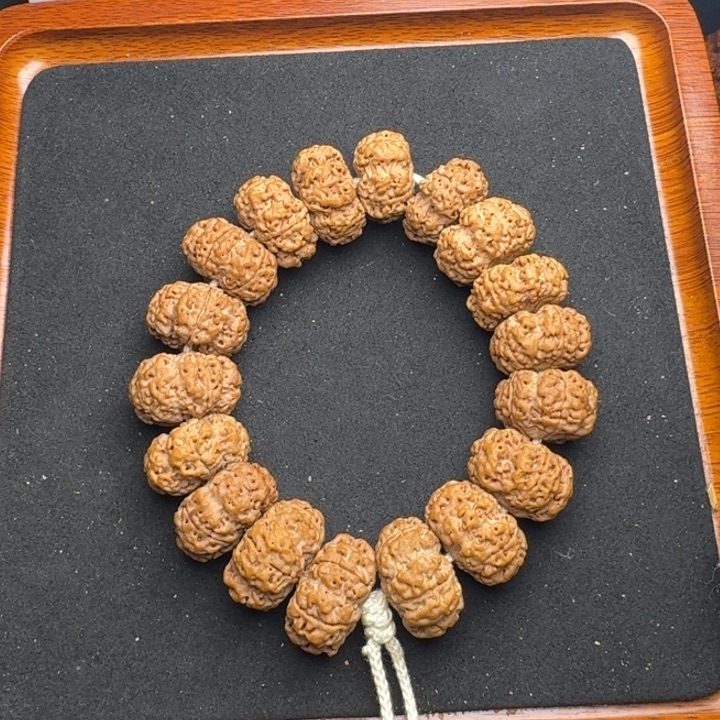 手串金刚菩提23尺寸梅花夹板