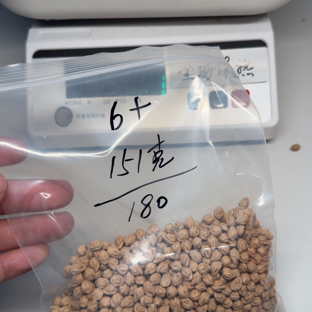 赵***c柏香籽/百香籽吊坠