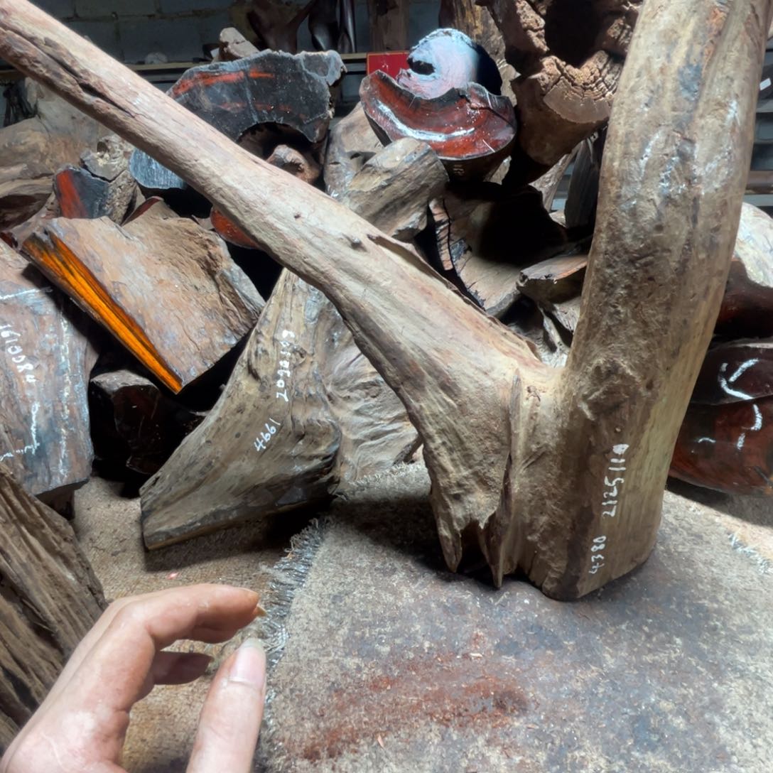 【闪购商品】交趾黄檀（大红酸枝）才*