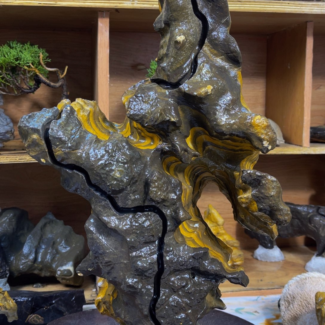 附石盆景一物一拍