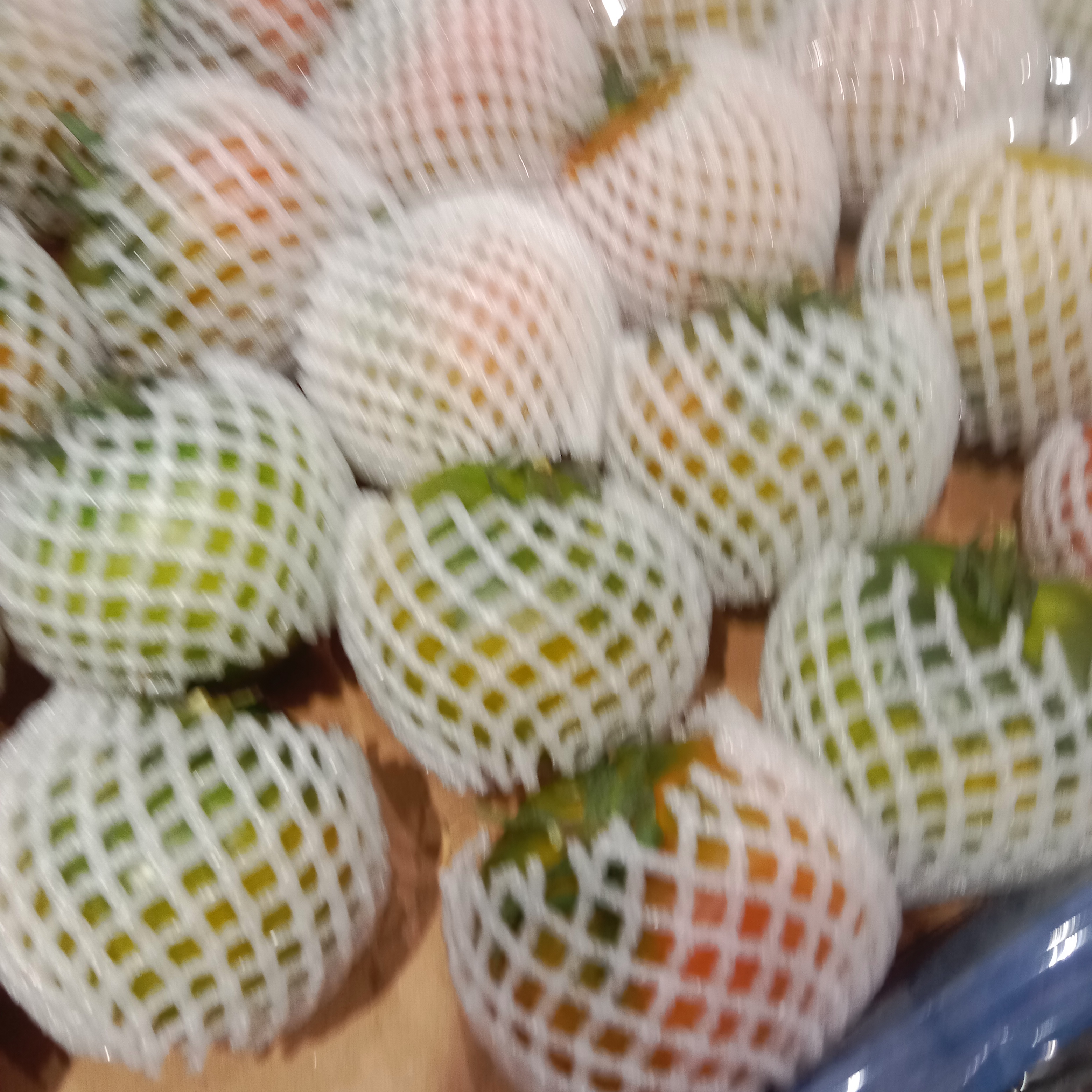 盘锦盐碱地柿子1斤