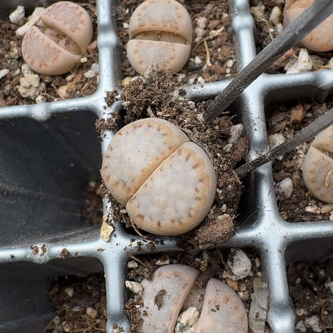 569 哈哈哈哈哈哈哈哈哈哈