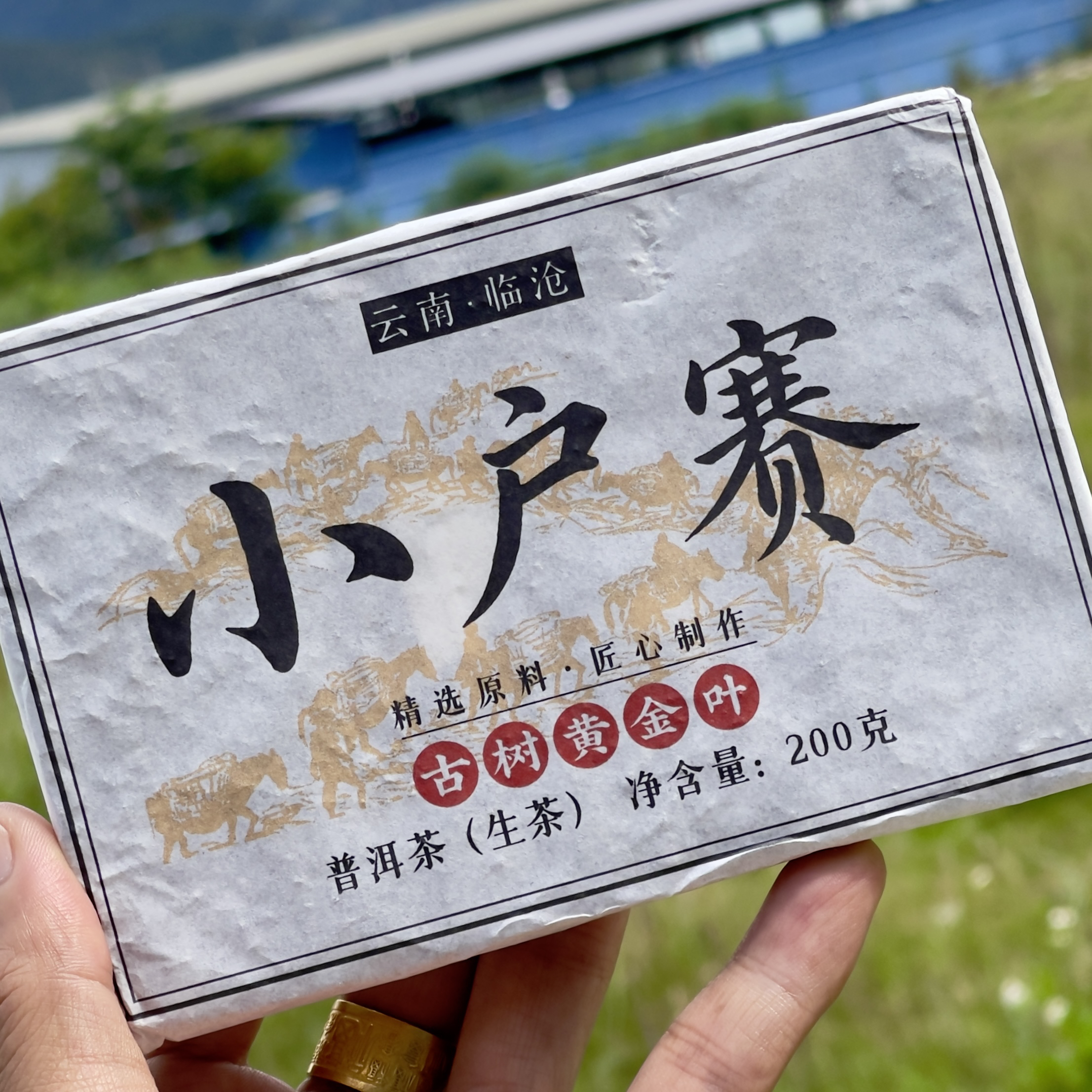 日饮中和精选：好喝得不像黄片 小户赛拉祜寨31号古黄2025春200g茶