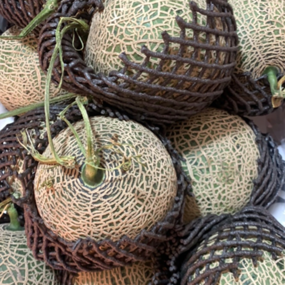 海南玫珑瓜网纹蜜瓜软嫩多汁一颗装3斤左右