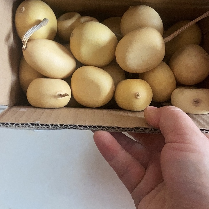 乔***.乔乔乔乔乔乔葫芦