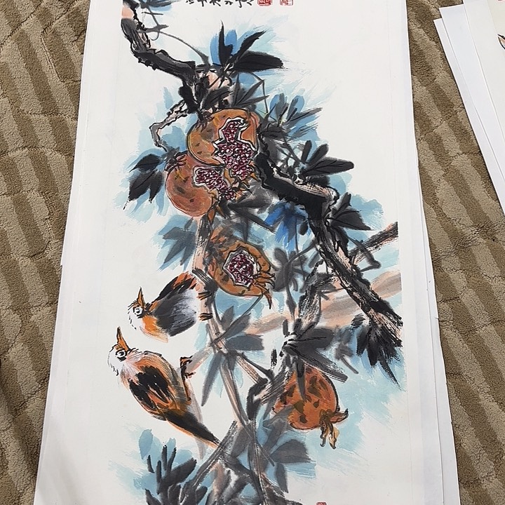 国画花鸟等多种鸟类的栖息地和栖息