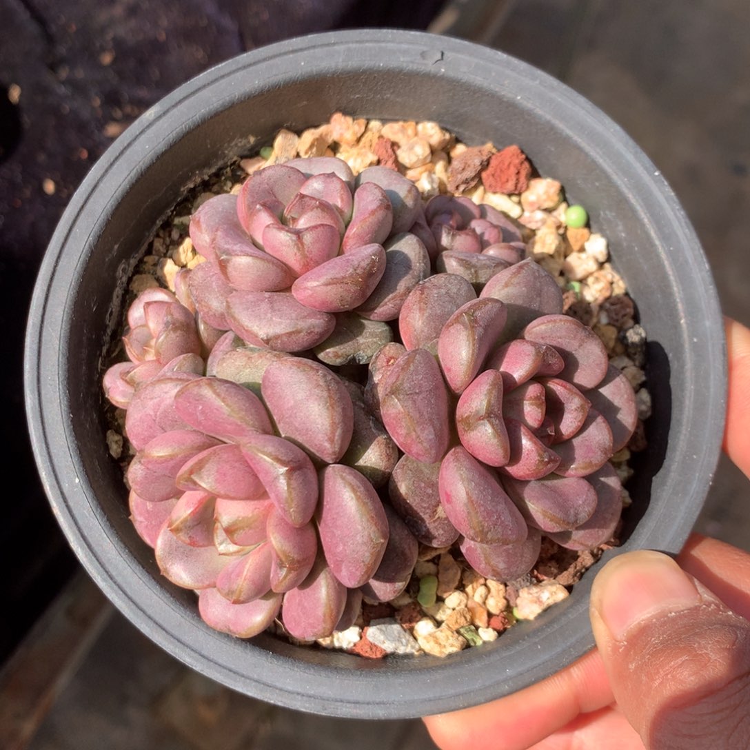 沉***思人工增水系统在国内