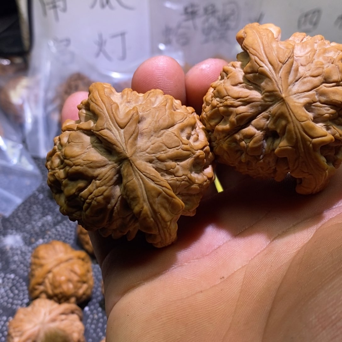 全品龙鼎尺寸55麻核桃